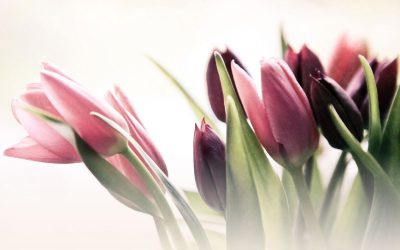 Äitienpäivämenu Take Away