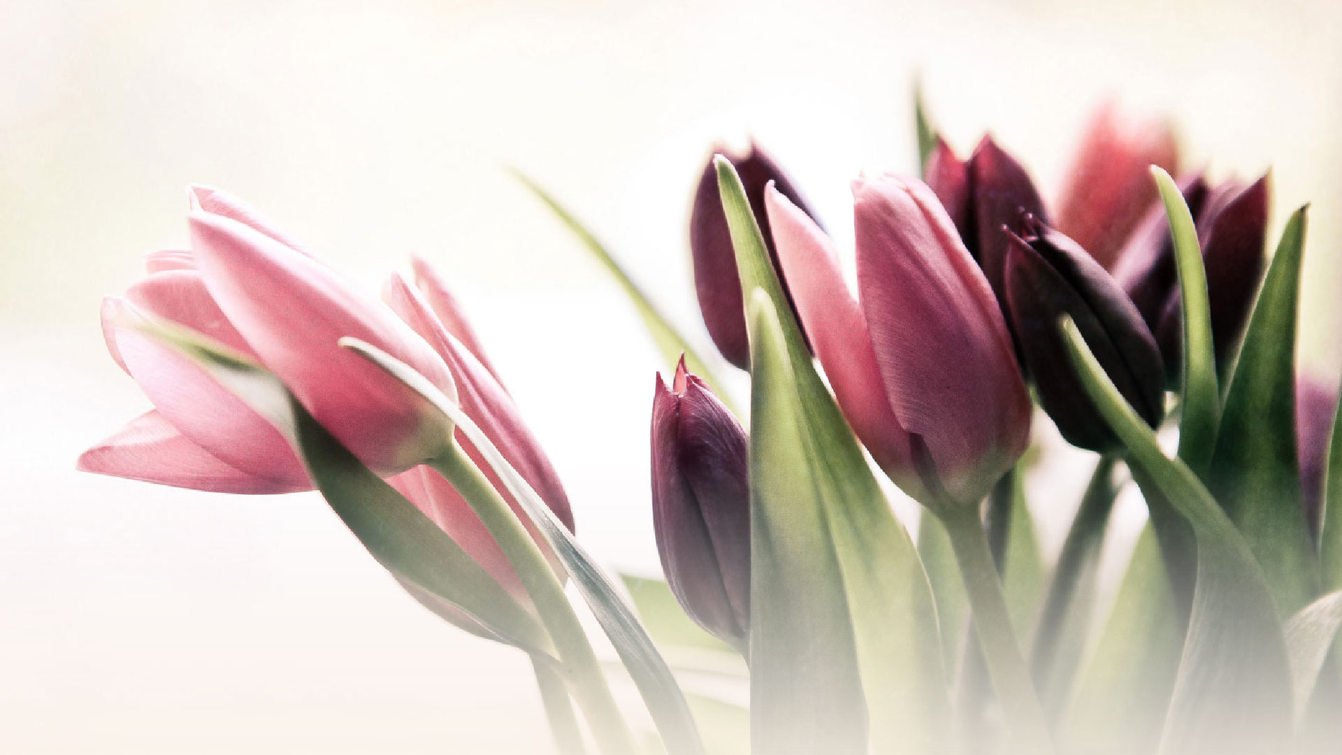 Äitienpäivämenu mukaan – Saarikoskiravintolat Take Away Ta,pere Äitienpäivämenu mukaan - Saarikoskiravintolat Take Away Ta,pere