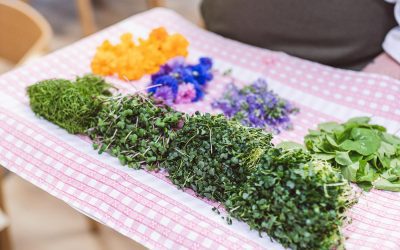 Tuoreet yrtit tamperelaiselta Satohuoneelta