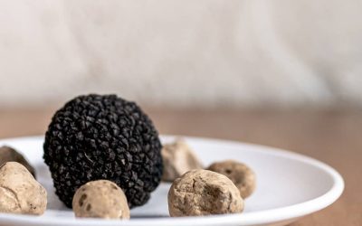 Piemonten tryffeliviikot 29.10.-16.11.