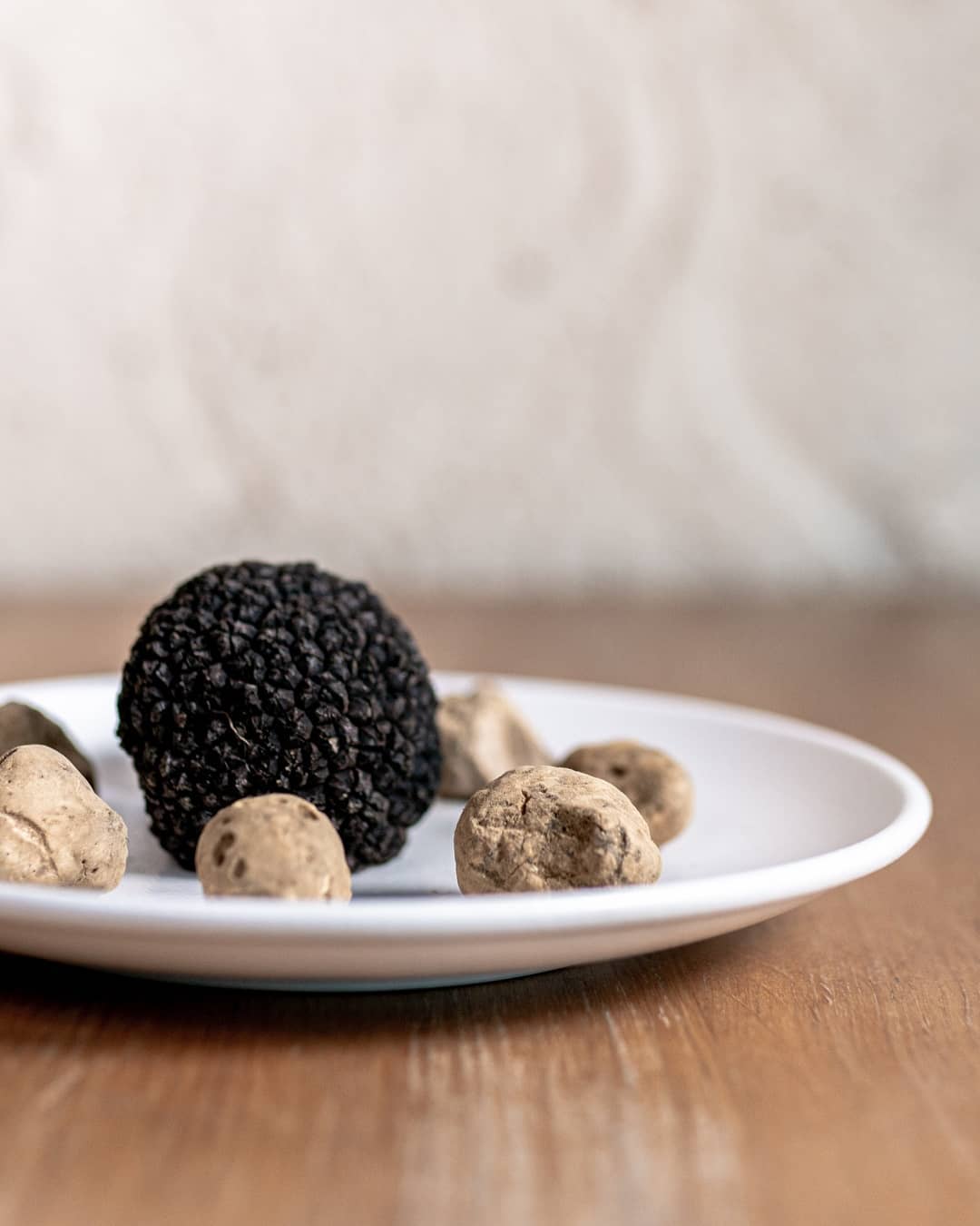 124638208_4096642923686324_6349170192536887270_o